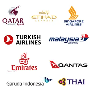 Partner Airlines